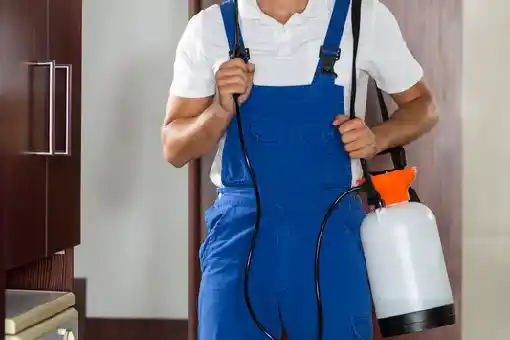 ابادة حشرات التجمع الخامس: 8 معايير احترافية تضمن القضاء الجذري على الحشرات وحماية أسرتك